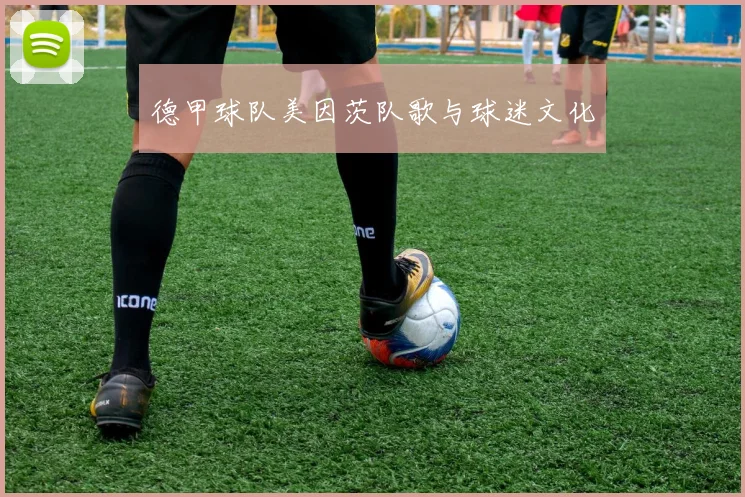 德甲球队美因茨队歌与球迷文化