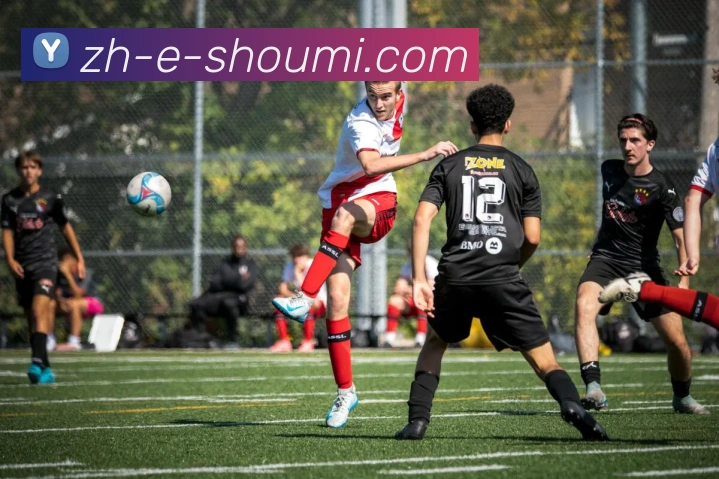 多媒体互动体验